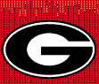 Go Dawgs!