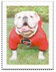UGA